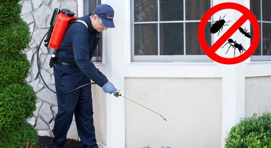 Sungurlu Bit İlaçlama böcek ilaçlama ve haşere kontrolü — ilaclama-tr.com